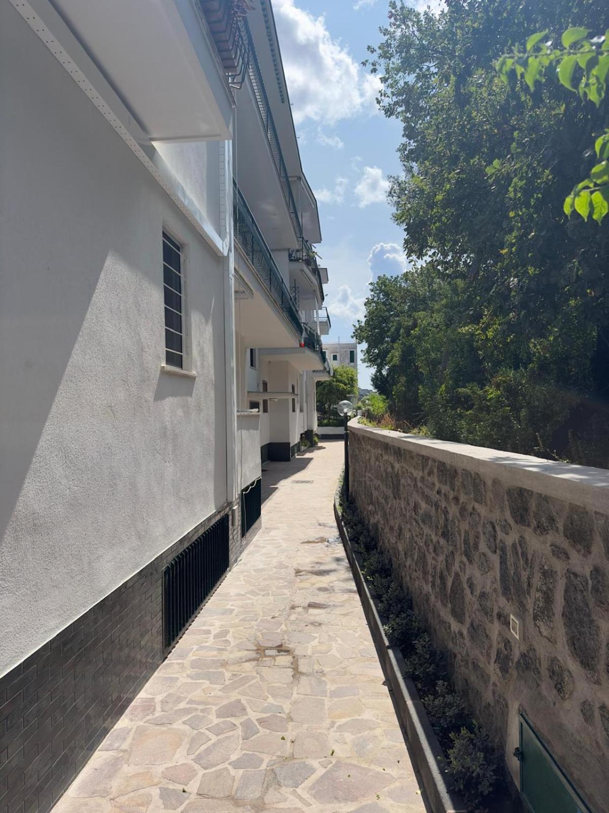 Casa Vacanza Imparo B&B Ischia Eksteriør bilde